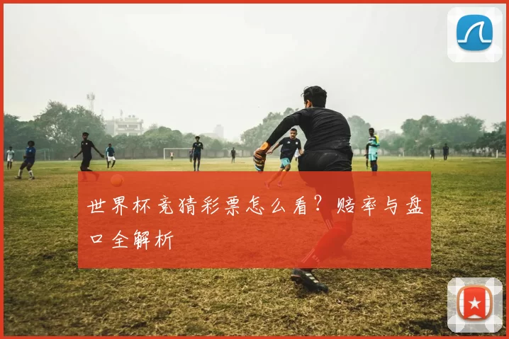 世界杯竞猜彩票怎么看?赔率与盘口全解析