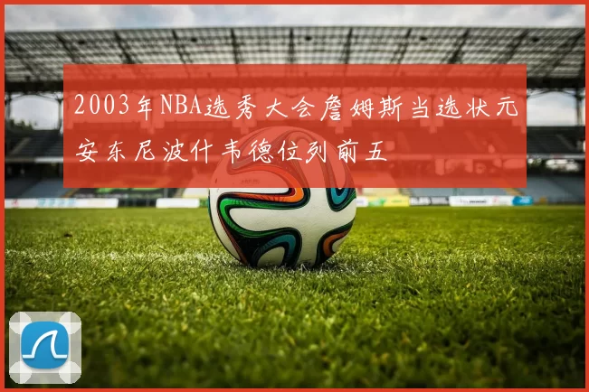 2003年NBA选秀大会詹姆斯当选状元安东尼波什韦德位列前五
