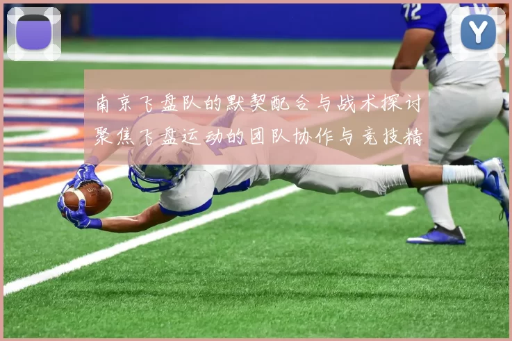 南京飞盘队的默契配合与战术探讨聚焦飞盘运动的团队协作与竞技精神