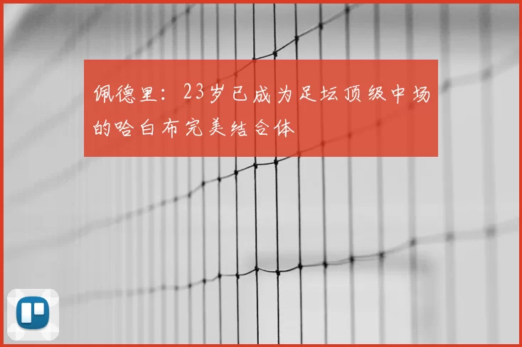 佩德里：23岁已成为足坛顶级中场的哈白布完美结合体