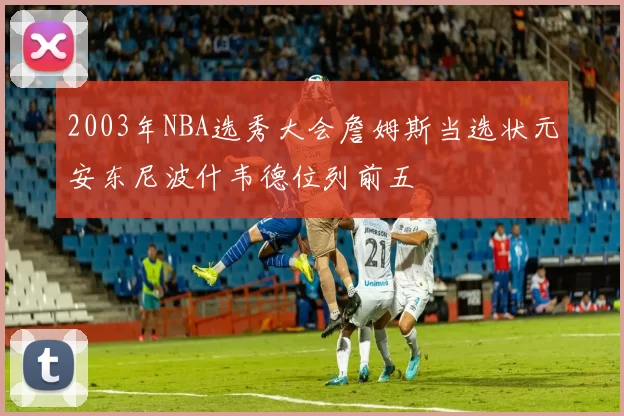2003年NBA选秀大会詹姆斯当选状元安东尼波什韦德位列前五