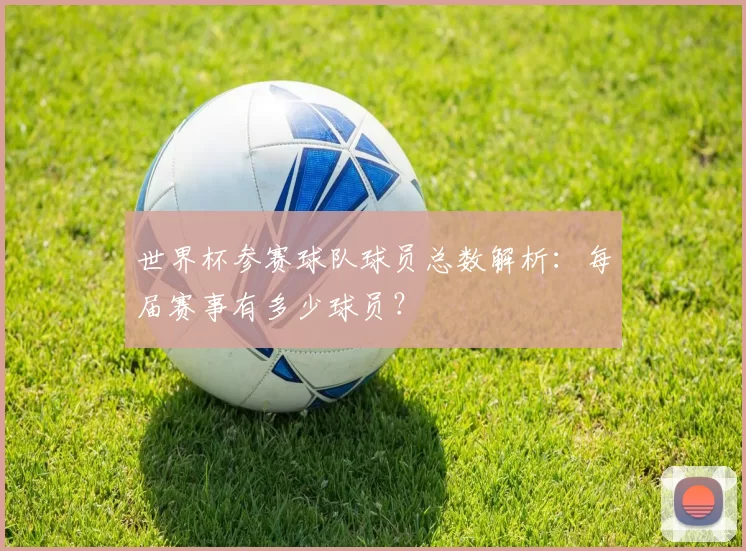 世界杯参赛球队球员总数解析:每届赛事有多少球员?