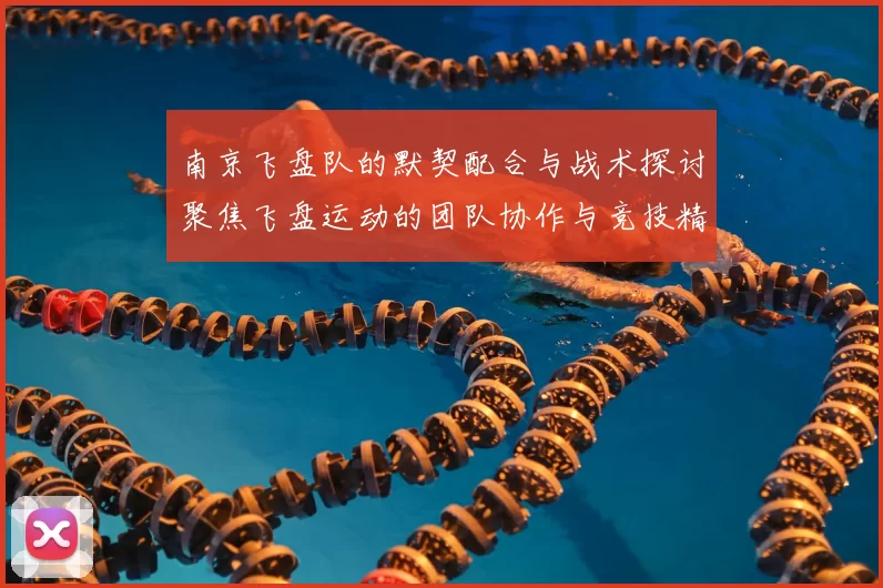 南京飞盘队的默契配合与战术探讨聚焦飞盘运动的团队协作与竞技精神