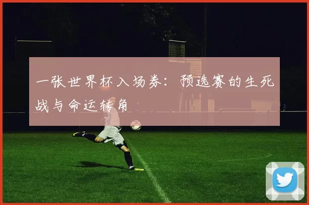 一张世界杯入场券:预选赛的生死战与命运转角