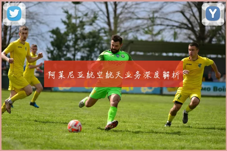 阿莱尼亚航空航天业务深度解析