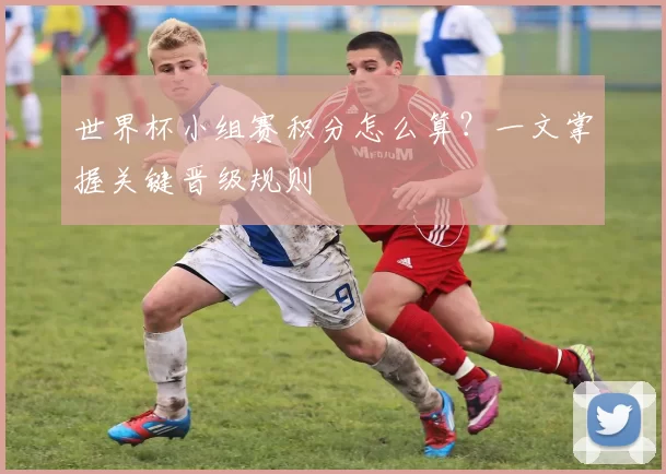 世界杯小组赛积分怎么算?一文掌握关键晋级规则