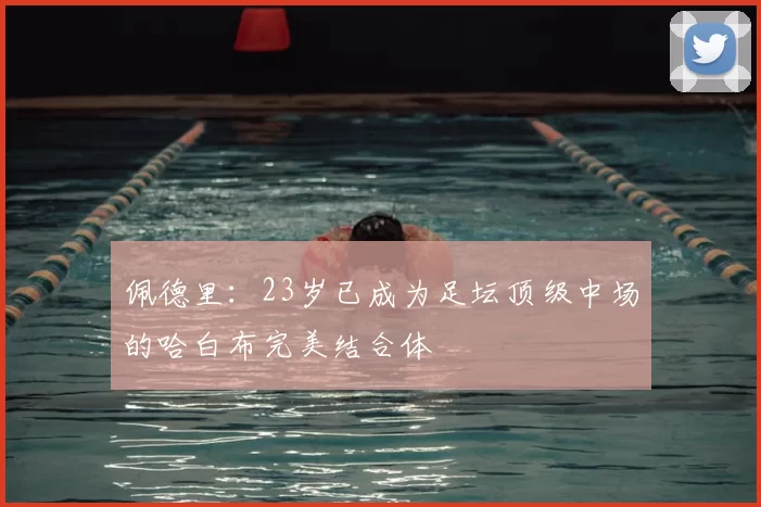 佩德里：23岁已成为足坛顶级中场的哈白布完美结合体