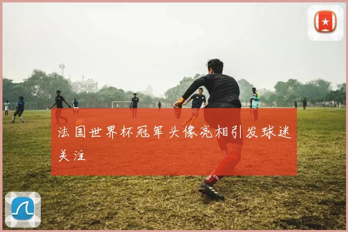法国世界杯冠军头像亮相引发球迷关注