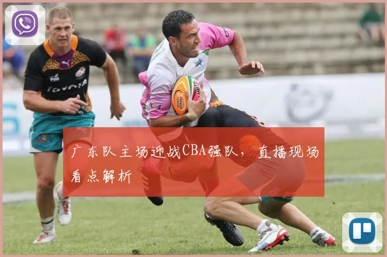 广东队主场迎战CBA强队，直播现场看点解析