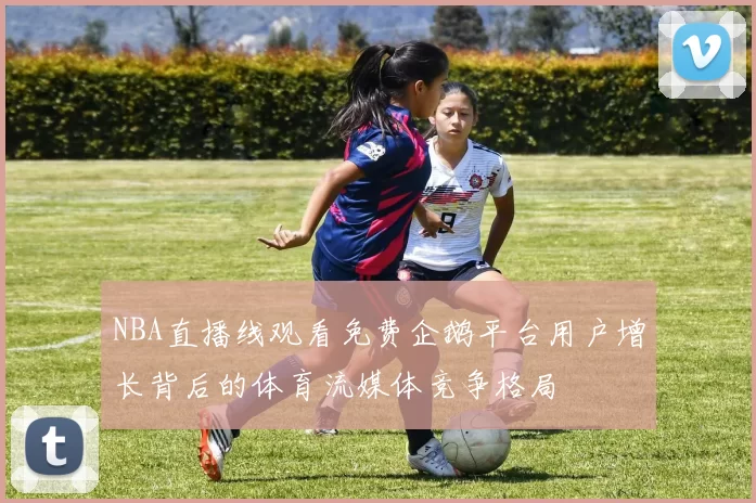 NBA直播线观看免费企鹅平台用户增长背后的体育流媒体竞争格局