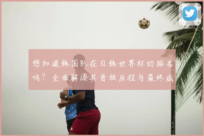 想知道韩国队在日韩世界杯的排名吗?全面解读其晋级历程与最终成绩