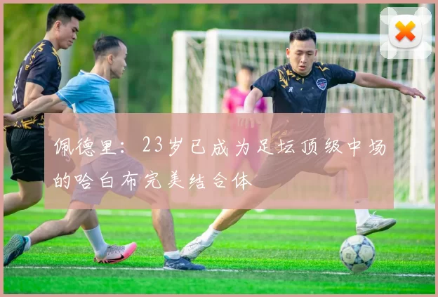 佩德里:23岁已成为足坛顶级中场的哈白布完美结合体
