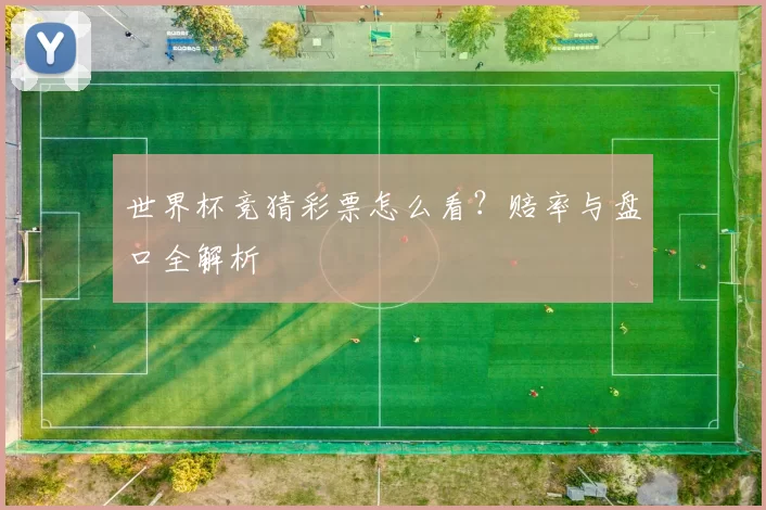 世界杯竞猜彩票怎么看？赔率与盘口全解析